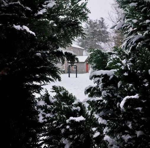 Knockaderry House 4* אניס